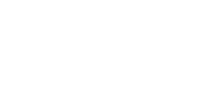 Logo BOAS Entreprise